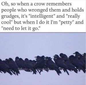 Stupid Bar Memes youreswantingsthesbirds