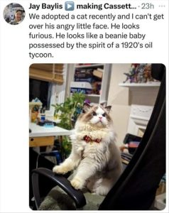 Stupid Bar Memes youreswantingsthescats1