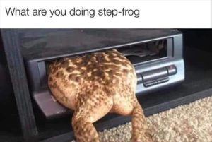 Stupid Bar Memes youreswantingsthesfrogs