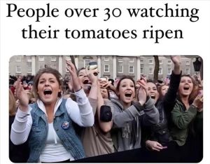 Stupid Bar Memes youreswantingstomatoes