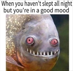 Stupid Bar Memes youreswantingstossleep