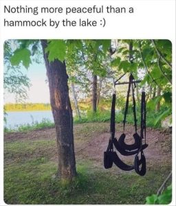 Stupid Bar Memes youresweirdslake