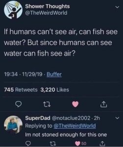 Stupid Bar Memes youresweirdsquestions