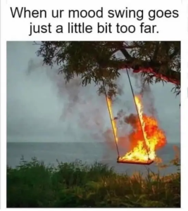 Stupid Bar Memes z5bSas4