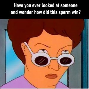 Stupid Bar Memes zsfs228