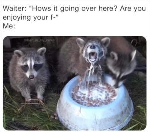 Stupid Bar Memes zsfs24