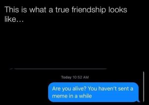 Stupid Bar Memes zsfs243