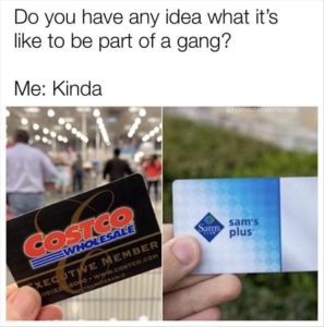 Stupid Bar Memes zsfs270