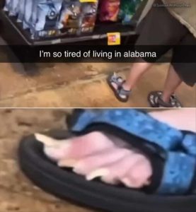 Stupid Bar Memes zsfs34