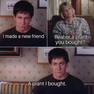 Stupid Bar Memes zsfs36