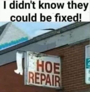 Stupid Bar Memes zsfunnys24s1