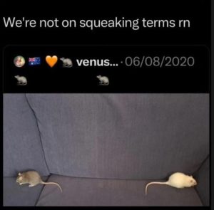 Stupid Bar Memes zsfunnys292s1
