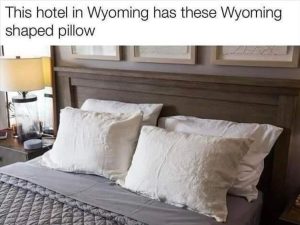 Stupid Bar Memes zsfunnys300s1