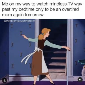 Stupid Bar Memes zsfunnys313