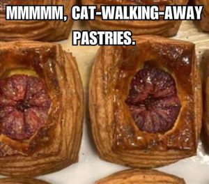 Stupid Bar Memes zsfunnys389