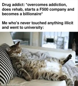 Stupid Bar Memes zsfunnys472