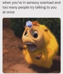 Stupid Bar Memes zsfunnys68