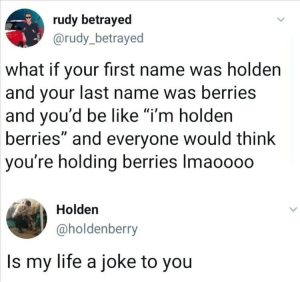 Stupid Bar Memes zsfunnys99