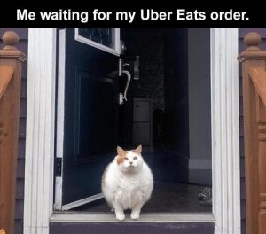 Stupid Bar Memes zsfuns122