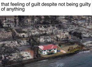 Stupid Bar Memes zsfuns141