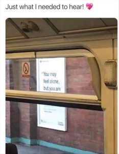 Stupid Bar Memes zsfuns19
