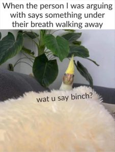Stupid Bar Memes zsfuns194
