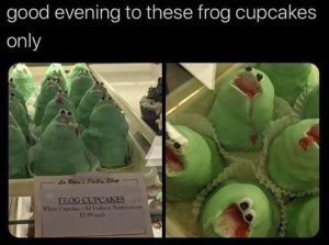 Stupid Bar Memes zsfuns256