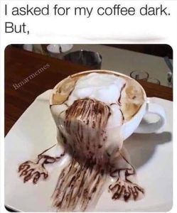 Stupid Bar Memes zsfuns293