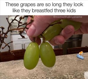 Stupid Bar Memes zsmemes152
