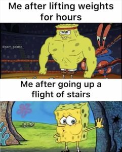 Stupid Bar Memes zsmemes159s1