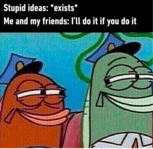 Stupid Bar Memes zsmemes54