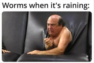 Stupid Bar Memes zsmemes8
