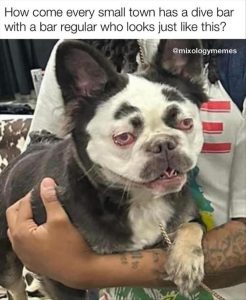 Stupid Bar Memes zsmemess8s2