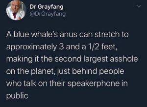 Stupid Bar Memes zz