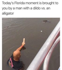 Stupid Bar Memes 03b0272a8da5df95