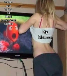 Stupid Bar Memes 04cc5d0517c64560