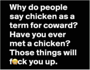 Stupid Bar Memes 055238d6325ae7f5