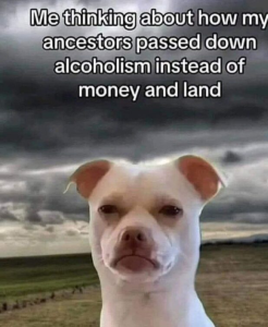 Stupid Bar Memes 120824ssermeme10s618x753