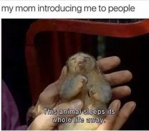 Stupid Bar Memes 1GkhNERsd
