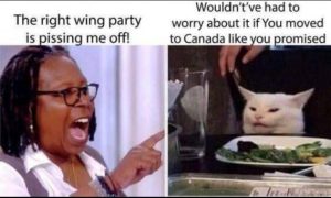 Stupid Bar Memes 1c636ed111362b86