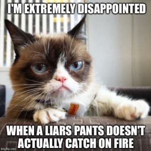 Stupid Bar Memes 226628fee44d889