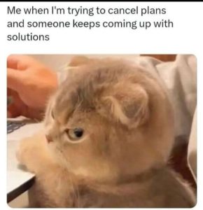 Stupid Bar Memes 230824ssermeme114s618x640