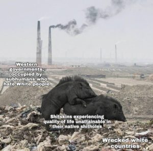 Stupid Bar Memes 230824ssermeme13s618x611