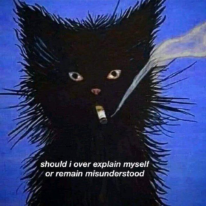 Stupid Bar Memes 230824ssermeme165s618x618