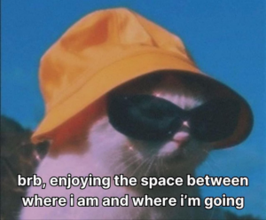 Stupid Bar Memes 230824ssermeme166s618x511