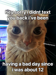 Stupid Bar Memes 230824ssermeme95s618x824