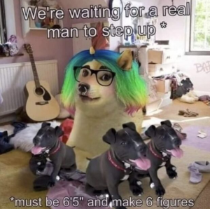 Stupid Bar Memes 290724sstormermeme127s618x614