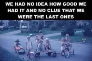 Stupid Bar Memes 290724sstormermeme175s618x410