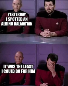 Stupid Bar Memes 290724sstormermeme176s618x773