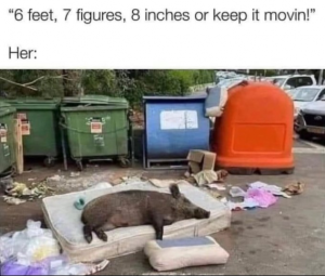 Stupid Bar Memes 2bac3472292db679